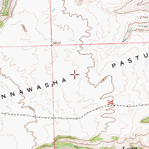 Topographic Map of Tannawasha Pasture, WA