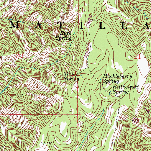 Topographic Map of Taylor Spring, WA