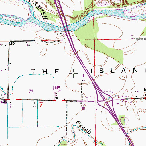 Topographic Map of The Island, WA