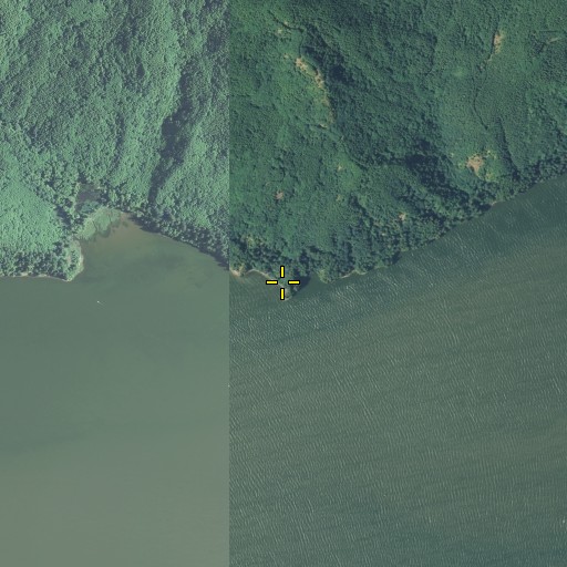 Aerial/Satellite Image of Three Tree Point, WA