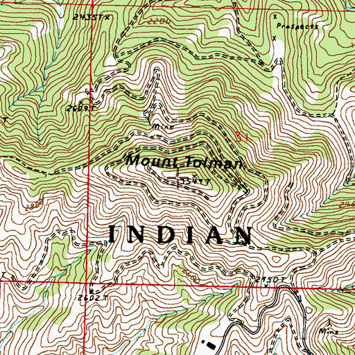 Topographic Map of Mount Tolman, WA