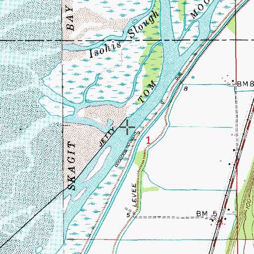 Topographic Map of Tom Moore Slough, WA