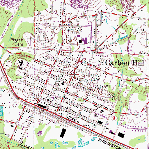 Topographic Map of Grant Christian Methodist Episcopal Chapel, AL