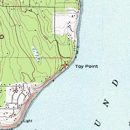 Topographic Map of Toy Point, WA