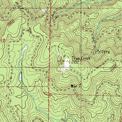 Topographic Map of Trap Creek Lookout, WA