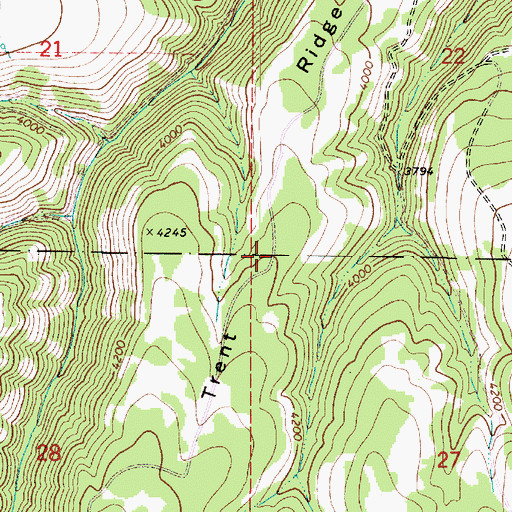 Topographic Map of Trent Ridge, WA