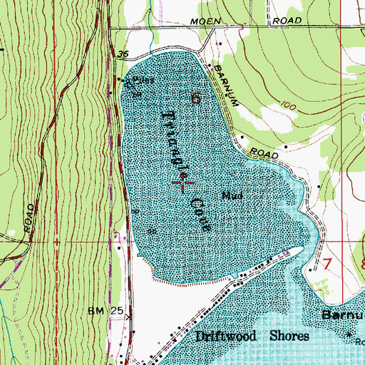 Topographic Map of Triangle Cove, WA