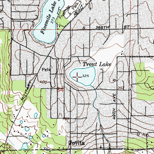 Topographic Map of Trout Lake, WA