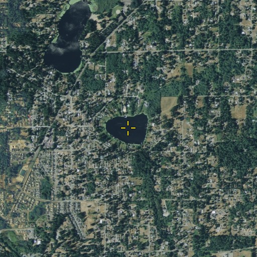 Aerial/Satellite Image of Trout Lake, WA