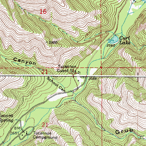 Topographic Map of Tucannon Guard Station, WA