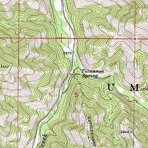 Topographic Map of Tucannon Spring, WA