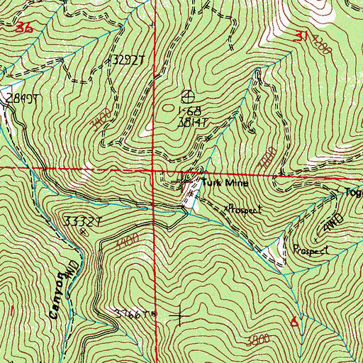 Topographic Map of Turk Mine, WA