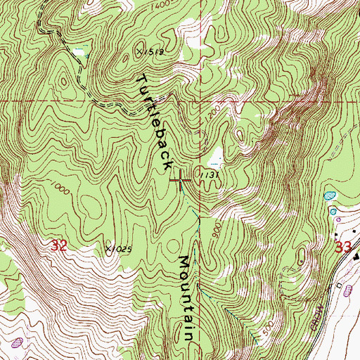 Topographic Map of Turtleback Mountain, WA
