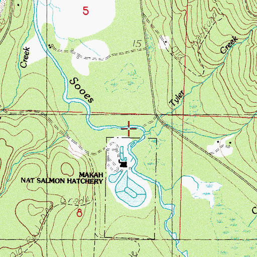 Topographic Map of Tyler Creek, WA