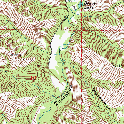 Topographic Map of Waterman Gulch, WA