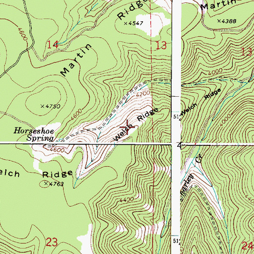 Topographic Map of Welch Ridge, WA