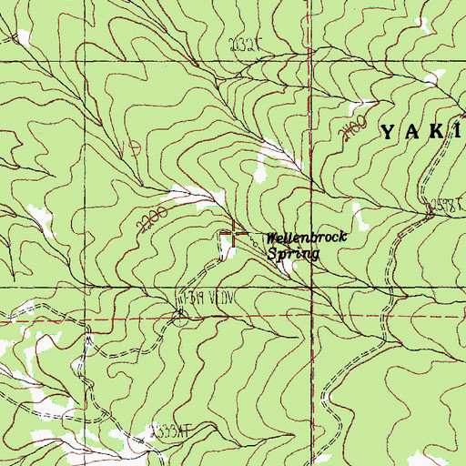Topographic Map of Wellenbrock Spring, WA