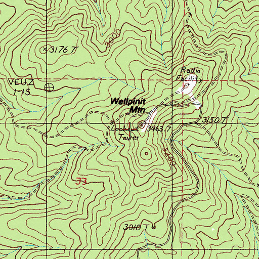 Topographic Map of Wellpinit Mountain, WA