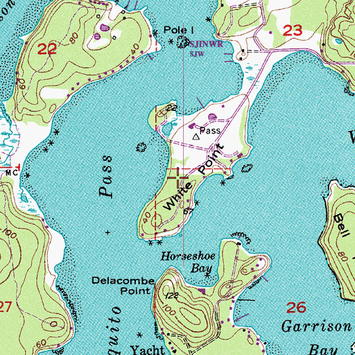 Topographic Map of White Point, WA
