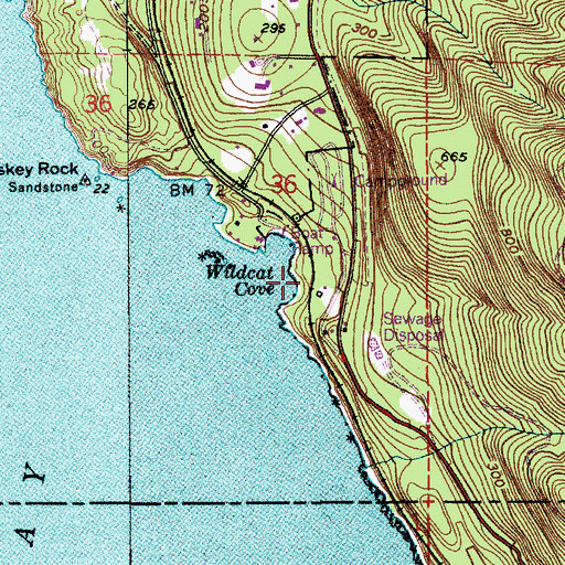 Topographic Map of Wildcat Cove, WA