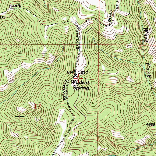 Topographic Map of Wildcat Spring, WA