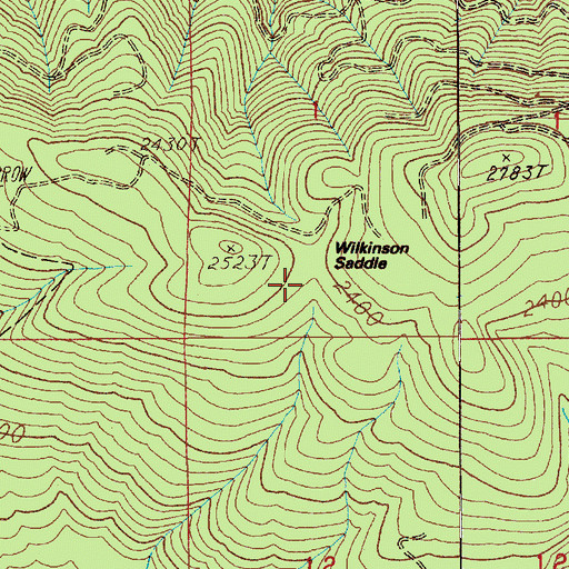 Topographic Map of Wilkinson Saddle, WA