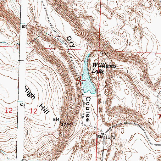 Topographic Map of Williams Lake, WA