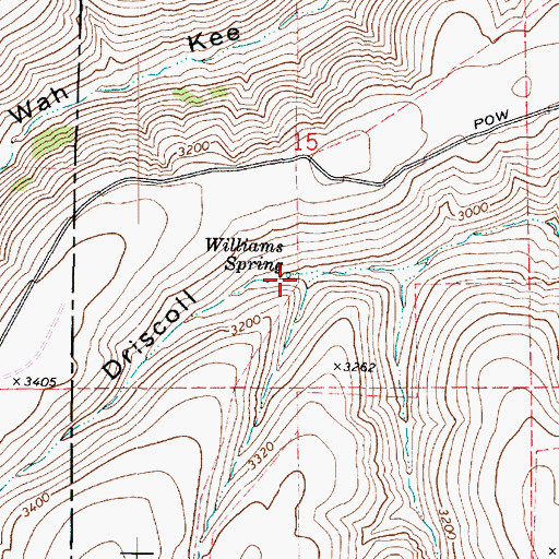 Topographic Map of Williams Spring, WA