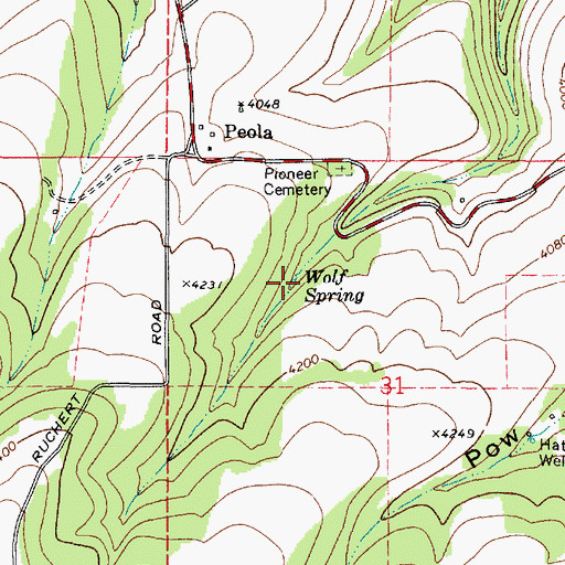 Topographic Map of Wolf Spring, WA