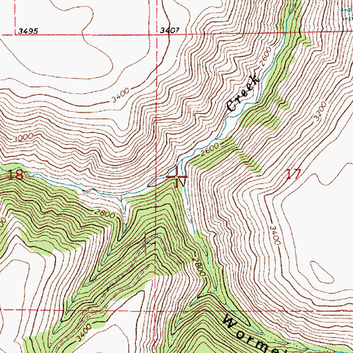 Topographic Map of Wormell Gulch, WA