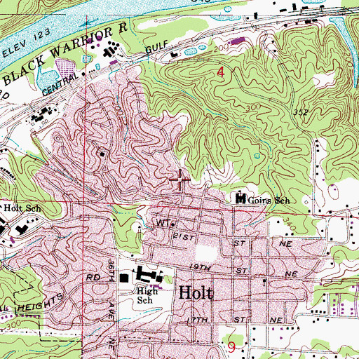 Topographic Map of Saint John African Methodist Episcopal Church, AL