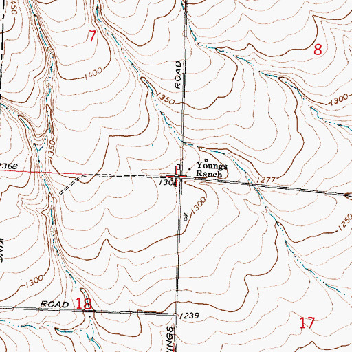 Topographic Map of Youngs Ranch, WA