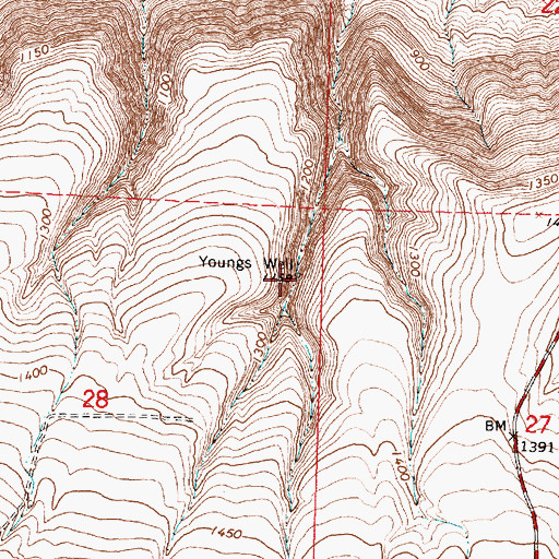 Topographic Map of Youngs Well, WA