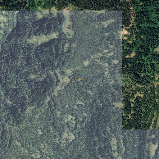 Aerial/Satellite Image of Zuger Spring, WA