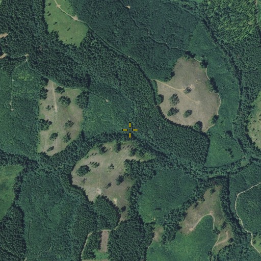 Aerial/Satellite Image of Phantom Creek, WA