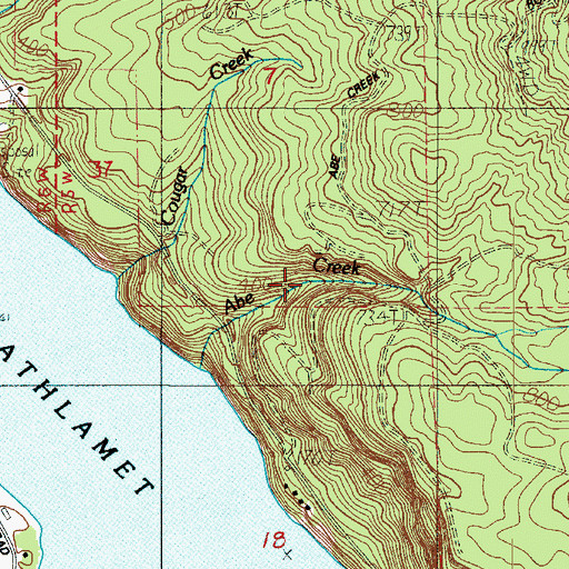 Topographic Map of Cougar Creek, WA