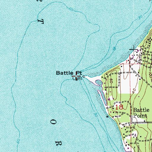 Topographic Map of Battle Point Light, WA