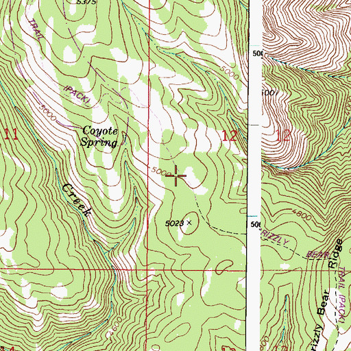 Topographic Map of Grizzly Bear Trail, WA