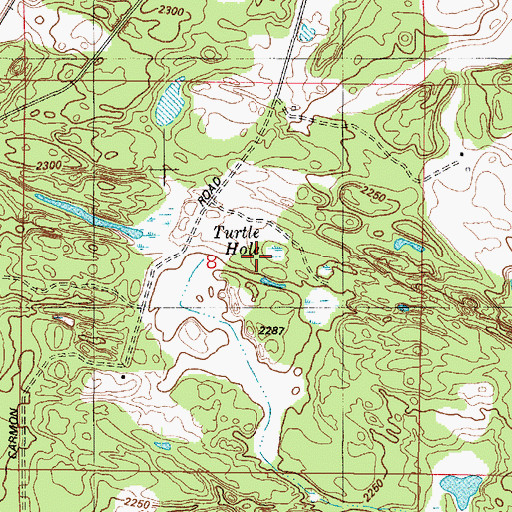 Topographic Map of Turtle Hole, WA