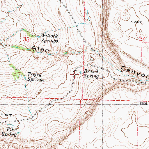 Topographic Map of Brazel Spring, WA