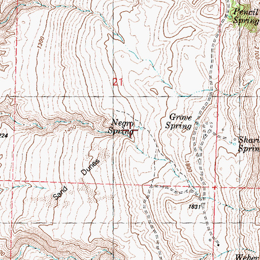 Topographic Map of Negro Spring, WA