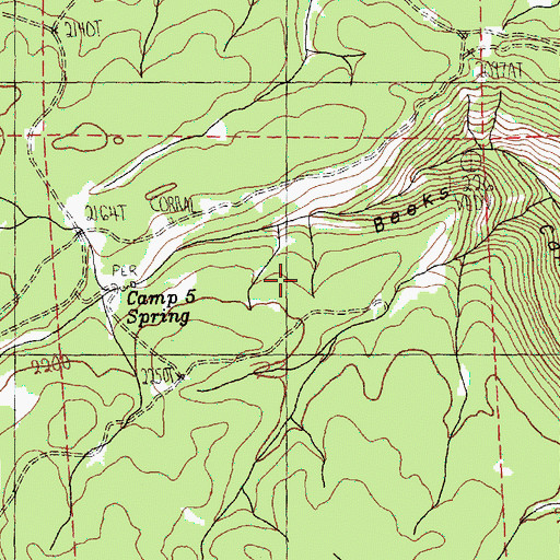Topographic Map of Camp Five Spring, WA