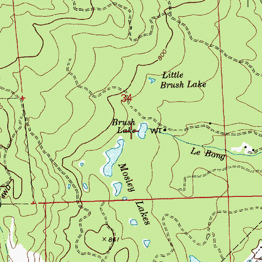 Topographic Map of Brush Lake, WA