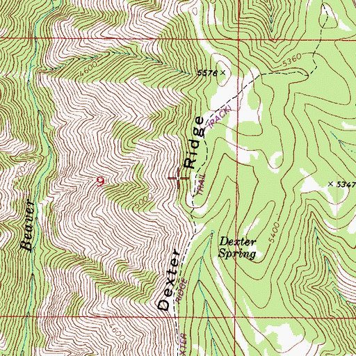 Topographic Map of Dexter Ridge Trail, WA