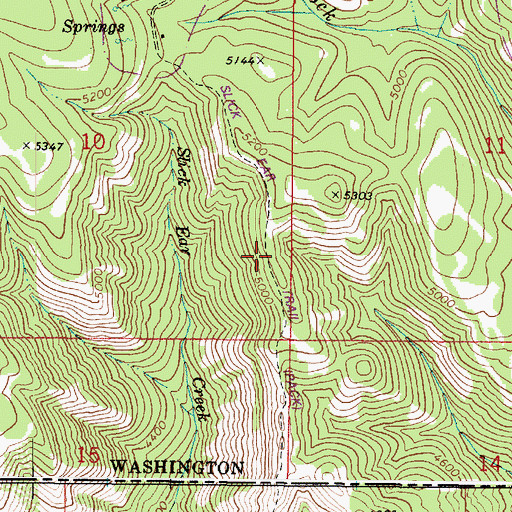 Topographic Map of Slick Ear Trail, WA