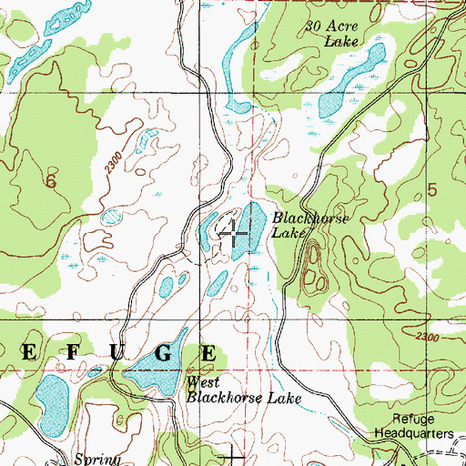 Topographic Map of Blackhorse Lake, WA