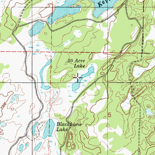 Topographic Map of Thirty Acre Lake, WA