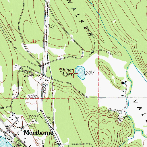 Topographic Map of Shiner Lake, WA