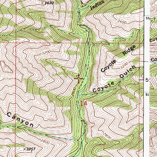 Topographic Map of Wenatchee Creek Trail, WA