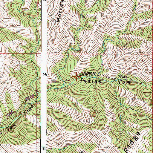 Topographic Map of Indian Tom Trail, WA